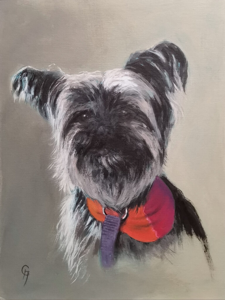 Portrait eines Hundes mit rotem Halstuch und lilafarbener Leine vor einem schlichten, warm-grauen hintergrund