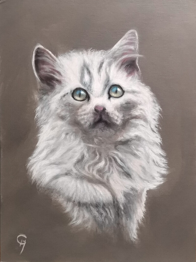 Portrait einer weißen Katze vor einem schlichten, warm-grauen hintergrund